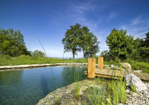 Le Domaine Caners