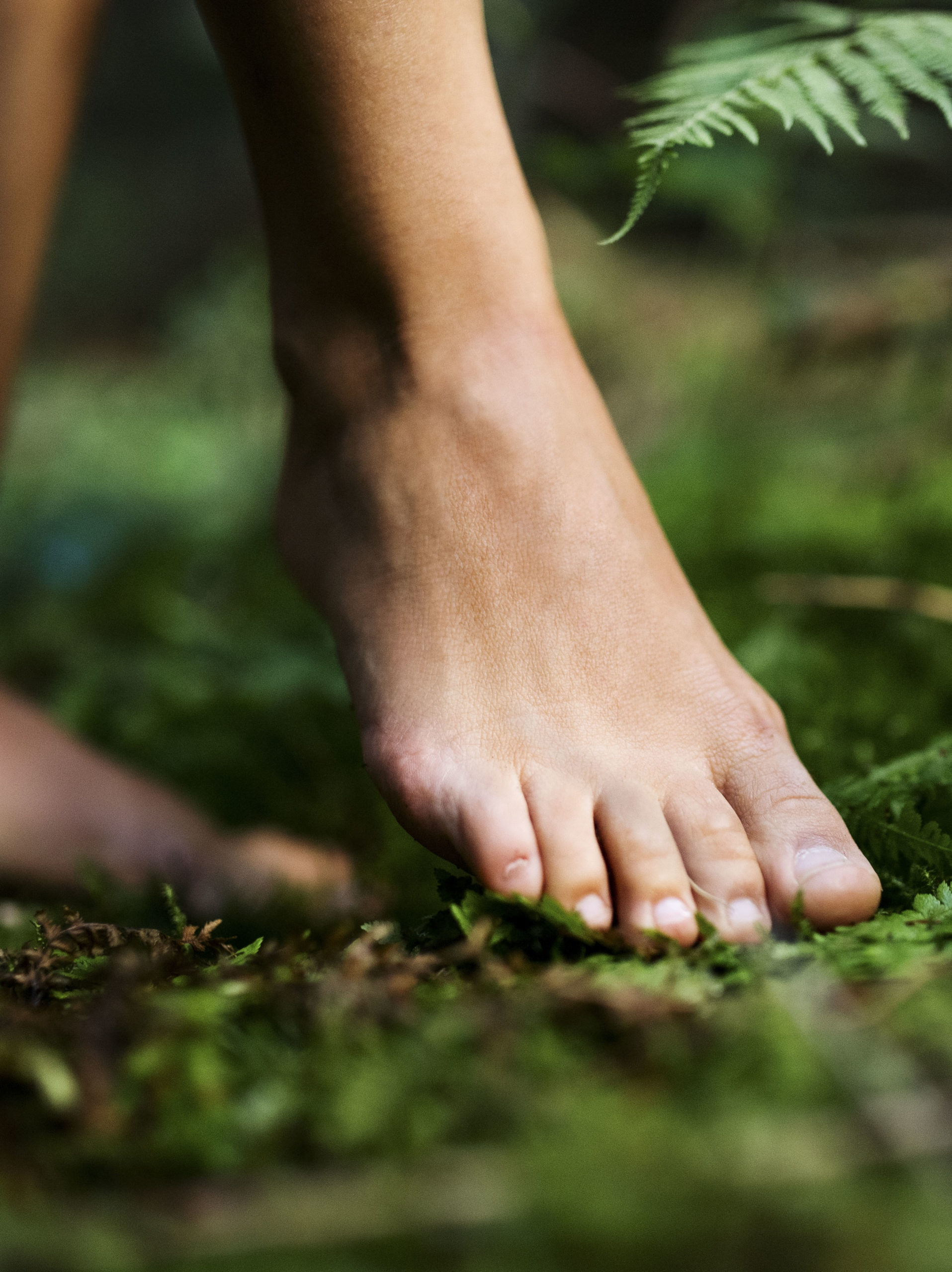 Bare feet of woman standing barefoot outdoors in nature, grounding and forest bathing concept.