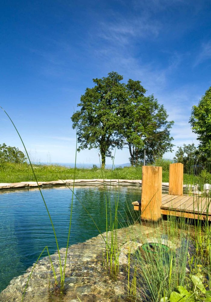 Pond 2 June 25-1