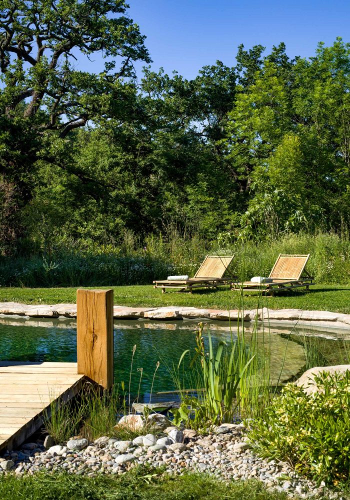 Pond 2 June 25-2