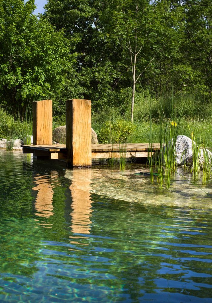 Pond 2 June 25-3