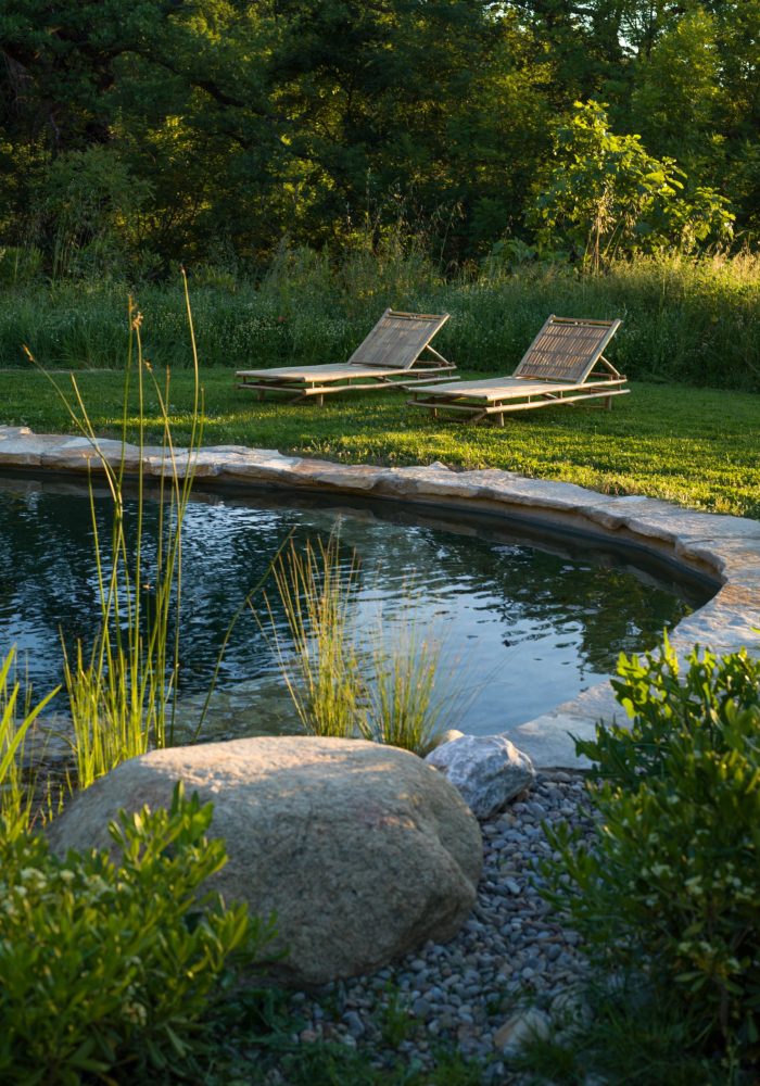 Pond 2 June 25-5