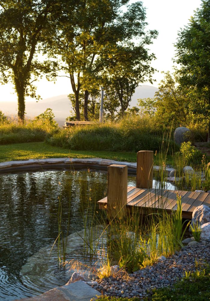 Pond 2 June 25-7