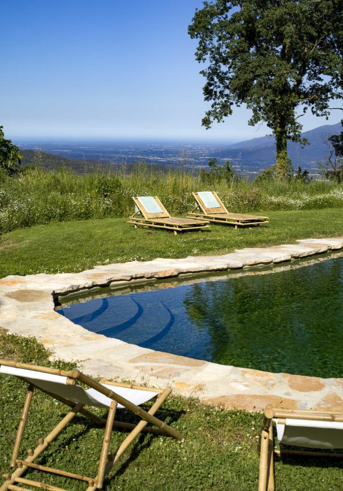 Pond June 25-4